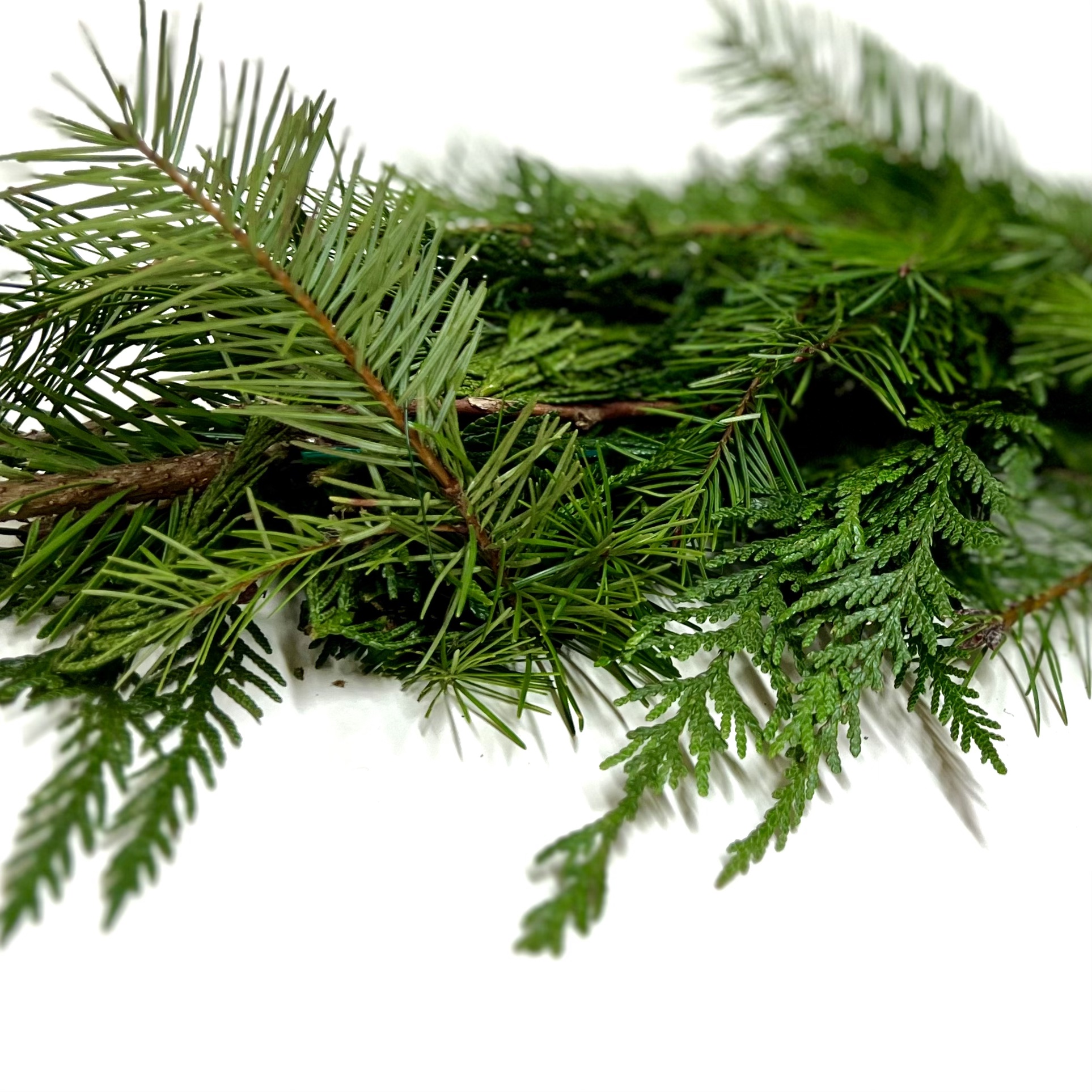 Christmas greenery, fresh seasonal garland