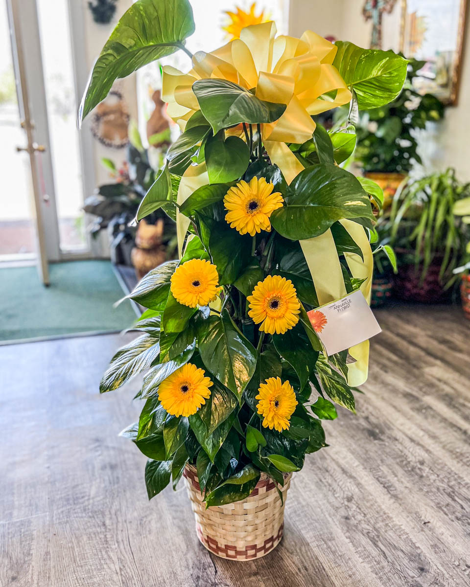 Post Ivy with Fresh Cut Yellow Gerbera Daisies from Annaville Florist